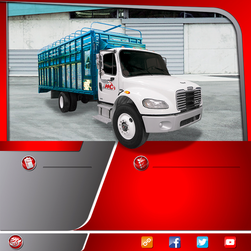  Transportes en camión rabon redilas fijas