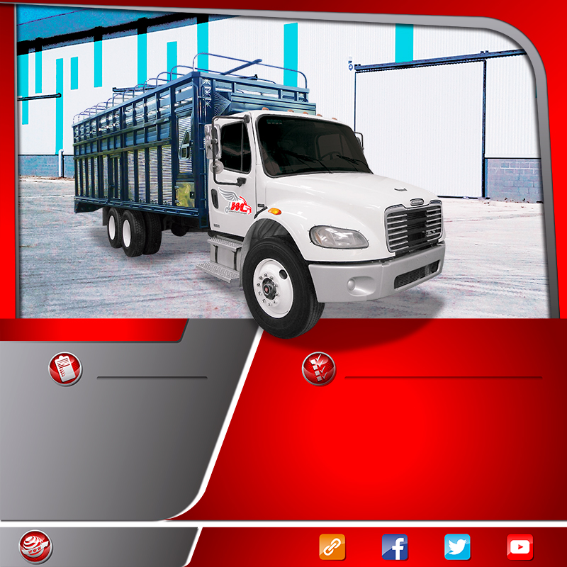  Transportes en camión torton redilas fijas